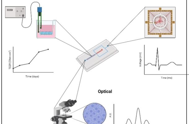 Recognition for research on LymphChip sensors