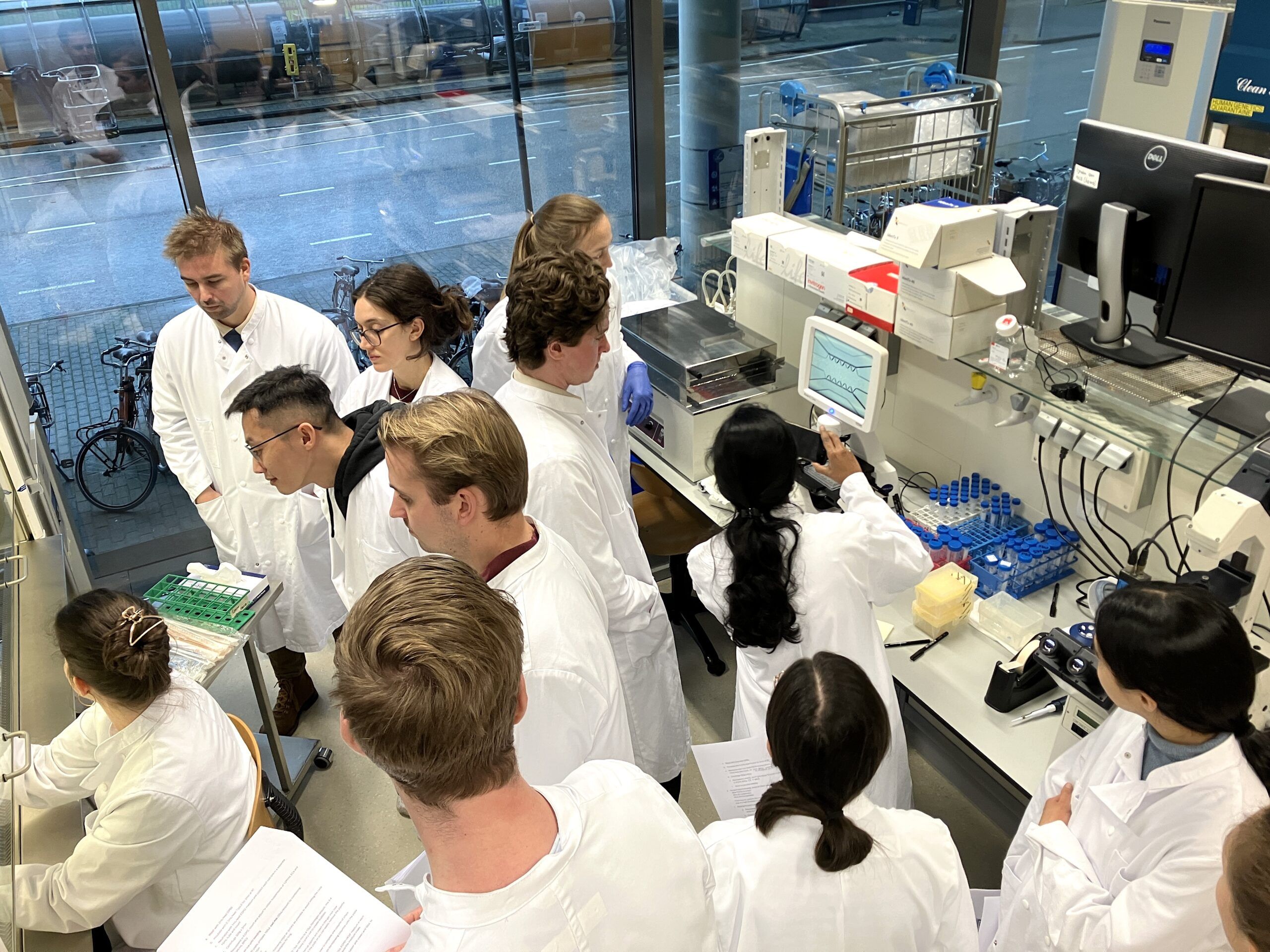 Advancing Vascular Research: Successful hiPSC Workshop at LUMC