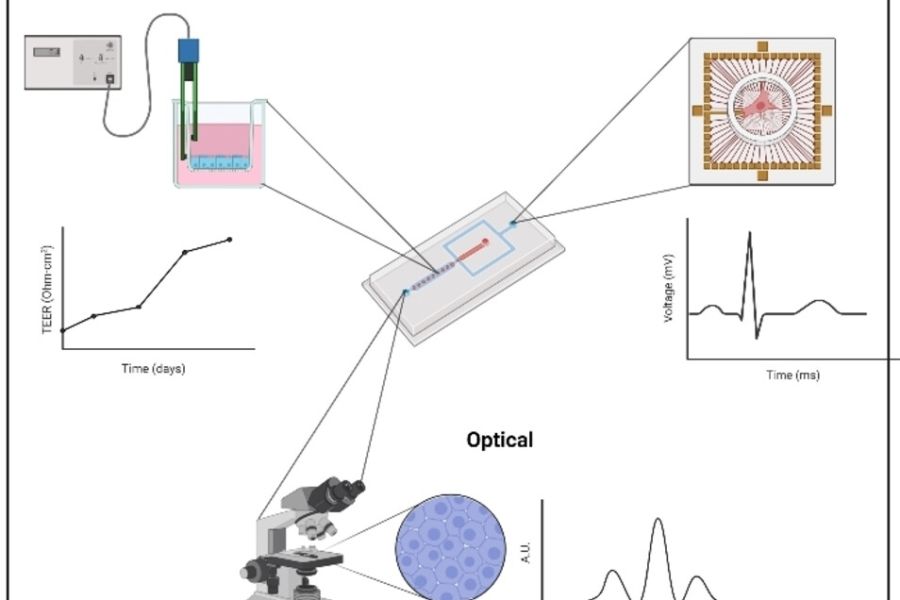 wp-content/uploads/2025/07/ChemBioChem_2023_Graphical_Abstract_Review_Pratik_Massimo.jpg